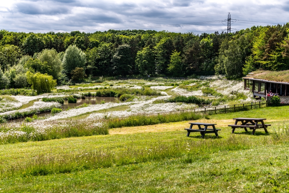 Summer visitor centre.jpg